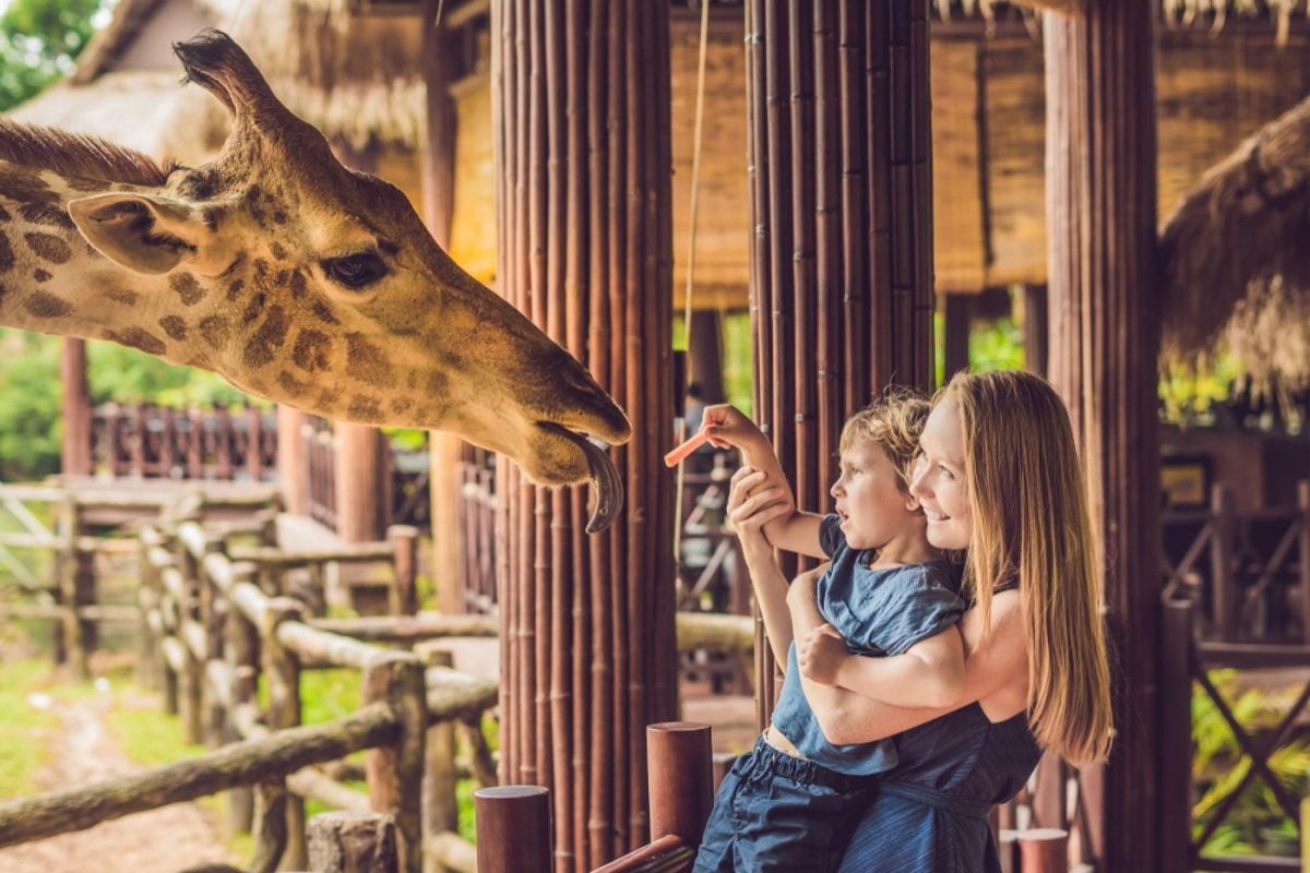 Best Staycation Ideas for Your Spring Break